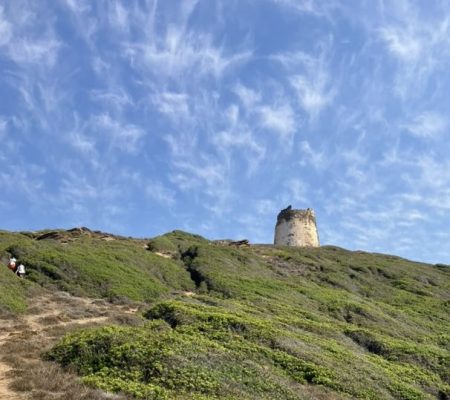 D14C3019-C6E9-4EFE-B0E6-DF6DAB9506C2_1_105_c